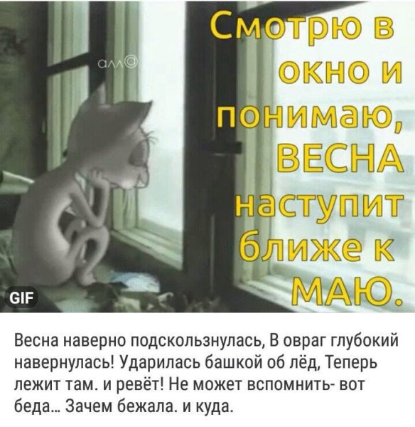 Храброе словечко чиркнуло об лед