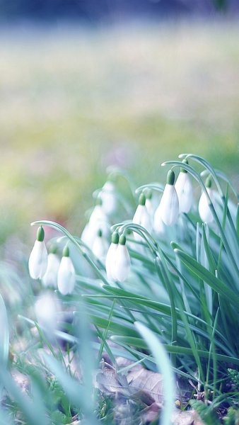 Весенний пейзаж