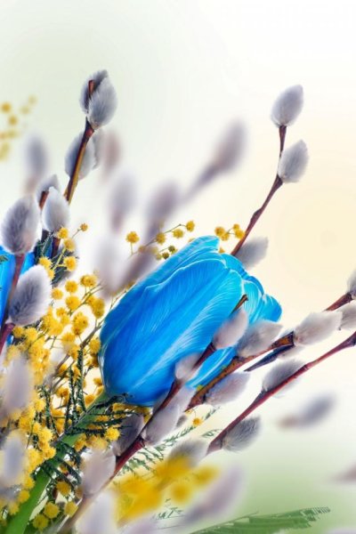 Подснежник Элизабет Харрисон