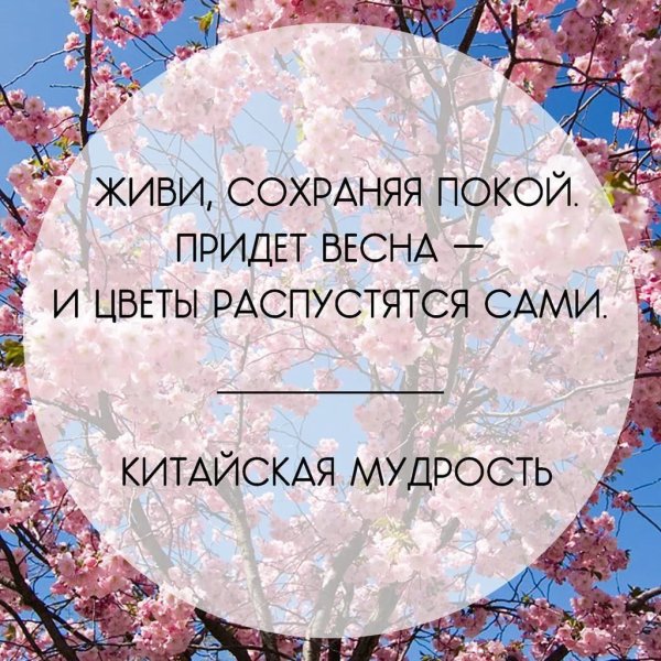 Цитаты про весну