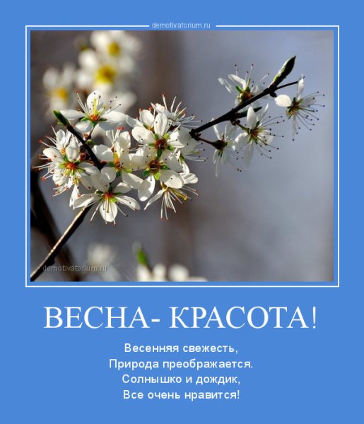 Красивые высказывания о весне
