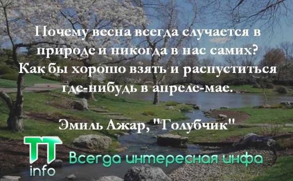 Фразы про весну