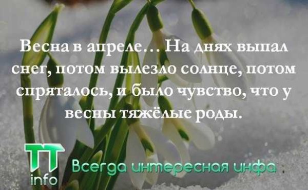 Весна цитаты красивые