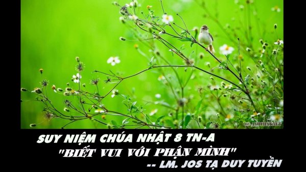 Цитаты про весну