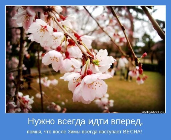 Весенние мотиваторы