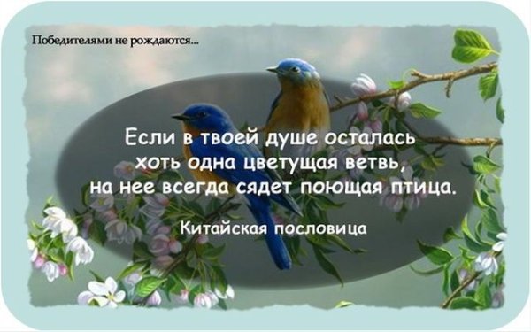 Открытка ждем весну
