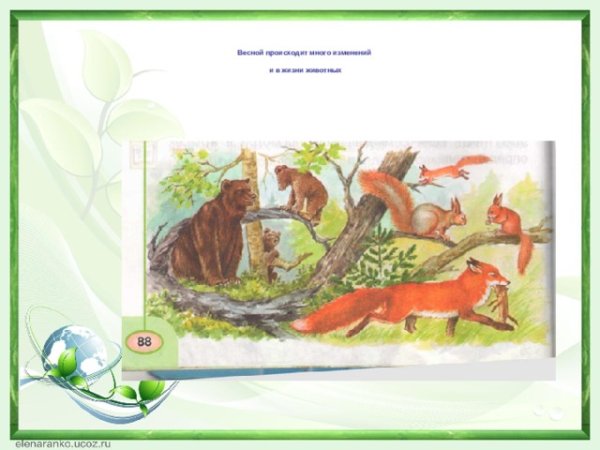 Изменения в жизни животных весной