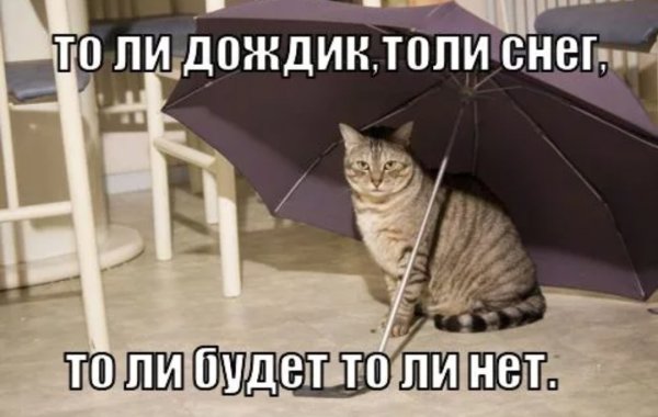 Главней всего погода в доме