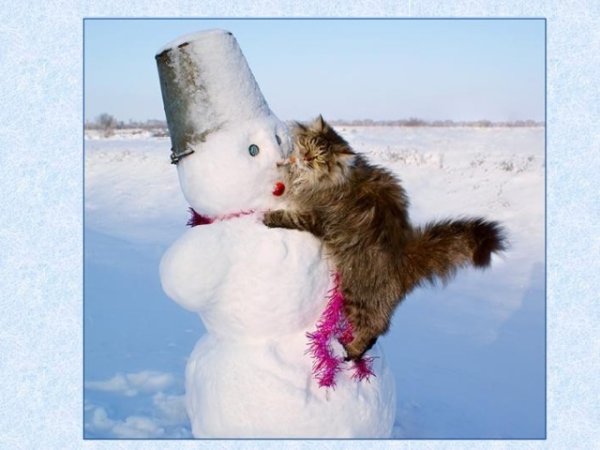 Толи Весна толи зима приколы