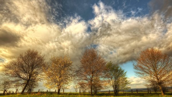 Цветущие Луга