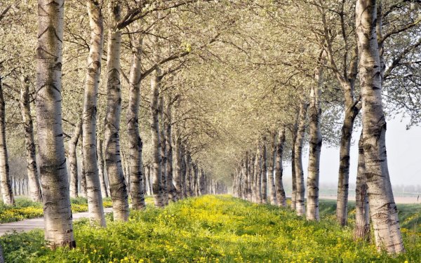 Ранняя зима в горах