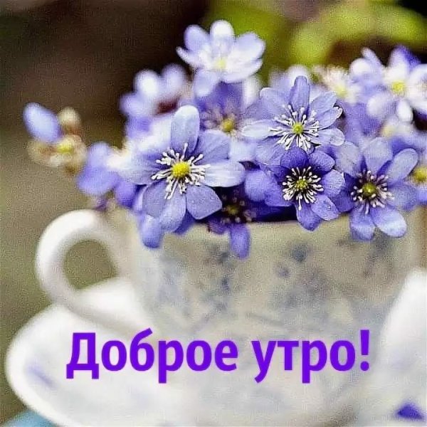 Позитивные пожелания с добрым утром
