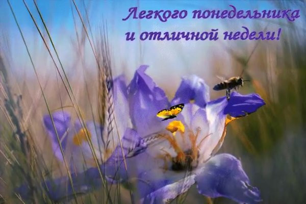 Доброе утро природа с надписью