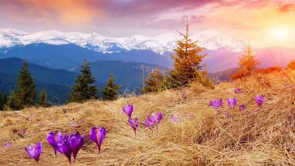 Зимнее солнце