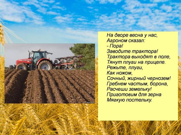 Весенняя страда старшая группа