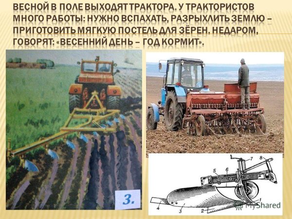 Посадка деревьев