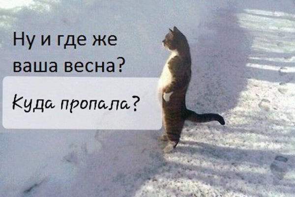 Весна ожидание реальность