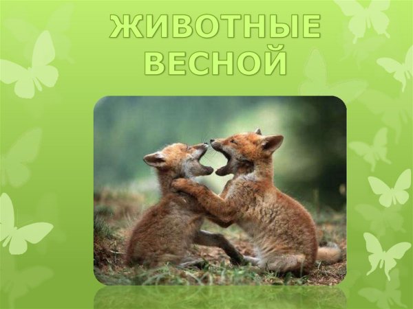 Надпись животные весной