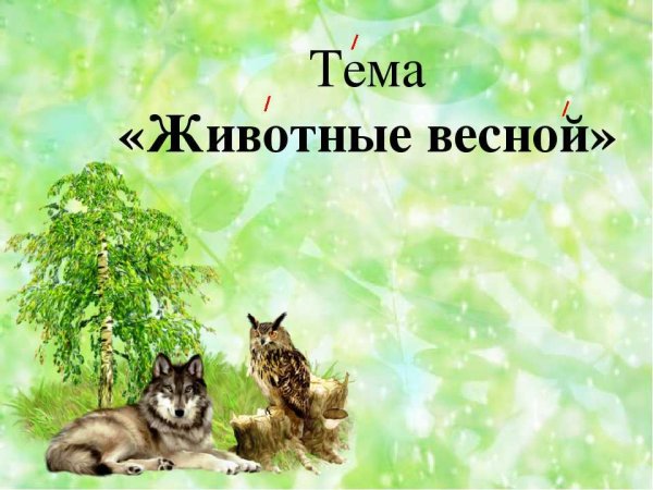 Сочинение на тему медведь