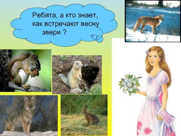 Животные просыпаются весной