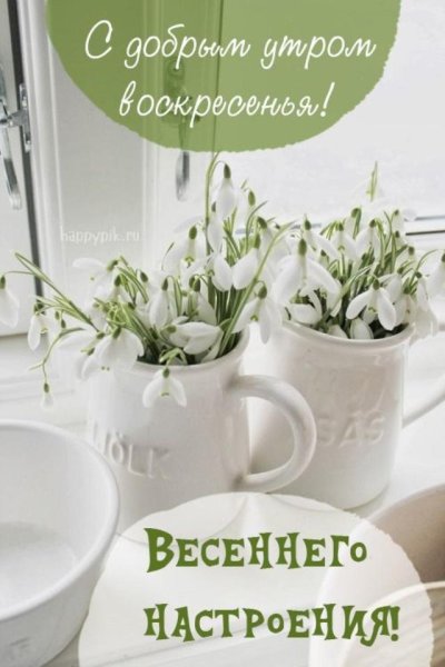 Весеннее настроение позитив