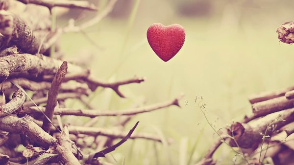 Обои любовь