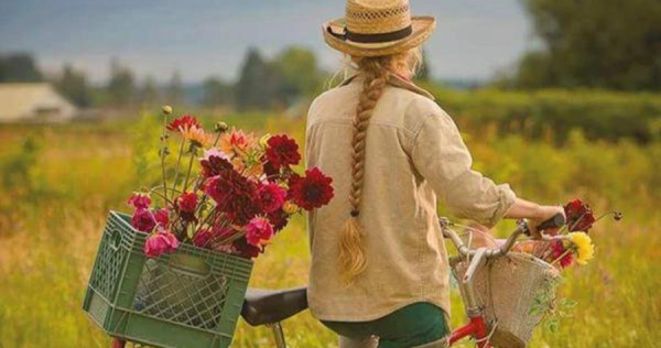 Девушка на велосипеде рисунок