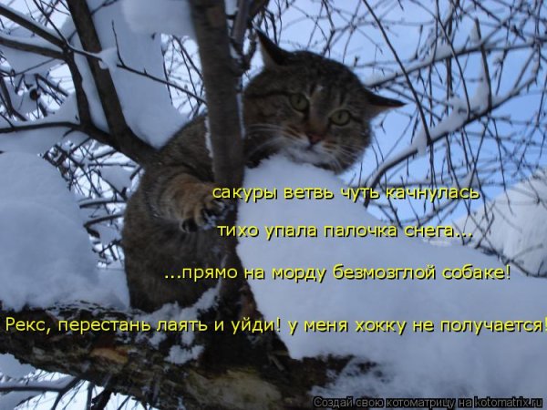 Весна уже пришла