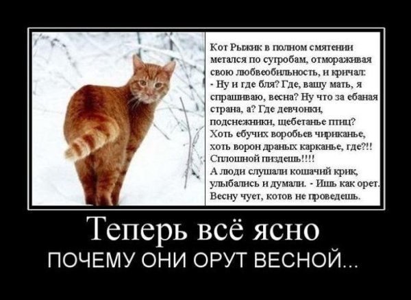Приколы про зиму и весну