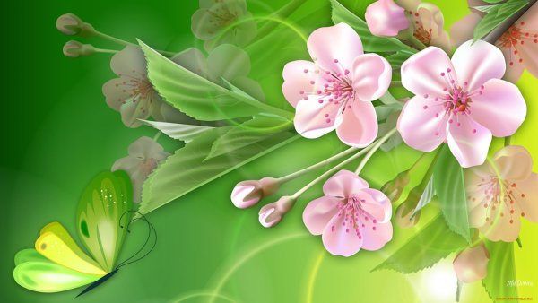 Цветы Макросъемка