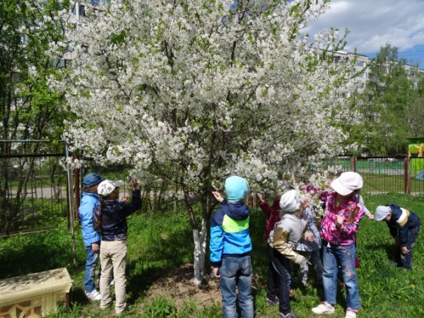 Занятия детей весной