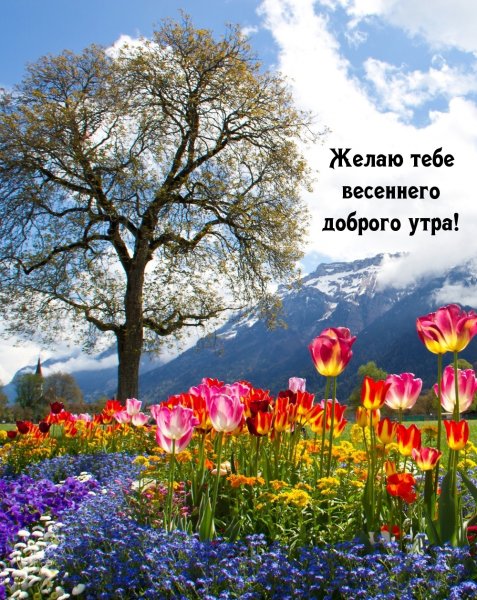 Яркие весенние пейзажи