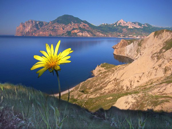Море весной