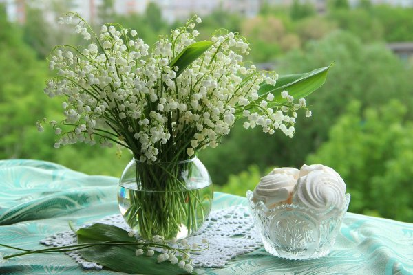 Яблони в цвету