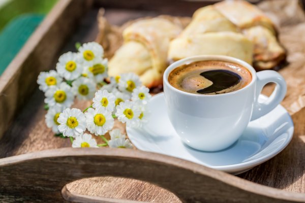 Чашка кофе и подснежники