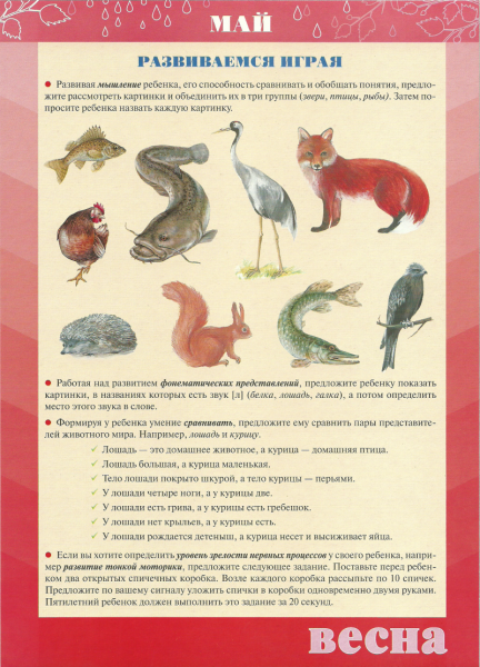 Материал для родительского уголка в старшей группе