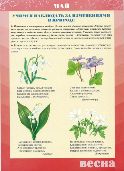 Весенние месяцы для детсада