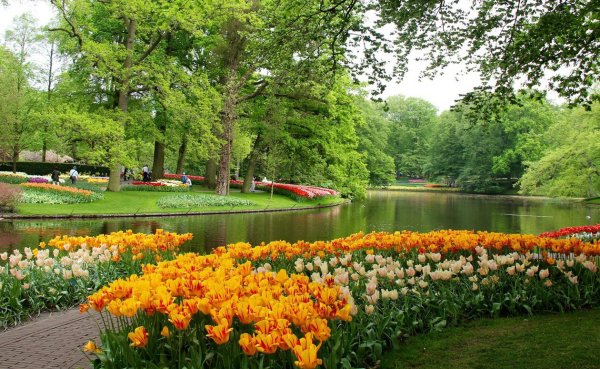 Кейкенхоф парк Нидерланды