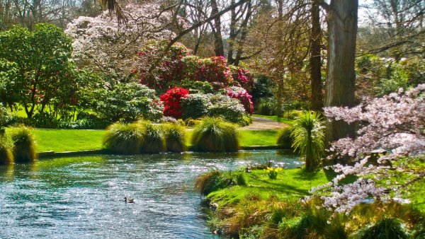 Александровский парк Петергоф
