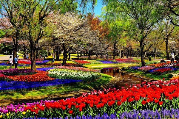 Красивый парк