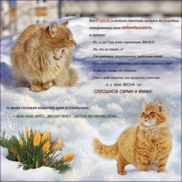 Цитаты про зиму и весну