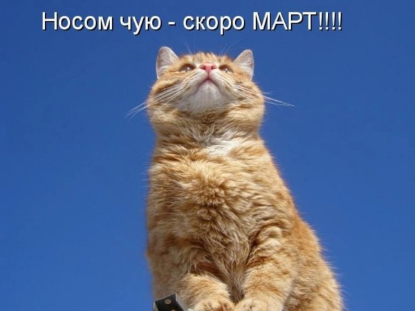 В ожидании весны