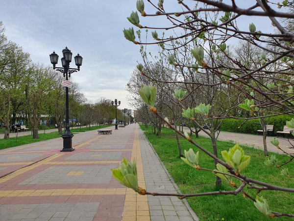 Весенняя улица