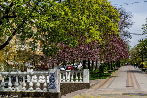 Ростов на Дону Весна