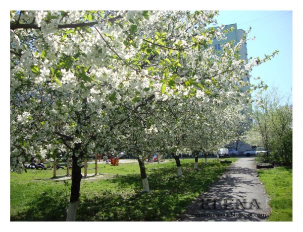 Ранняя Весна в Ростове-на-Дону