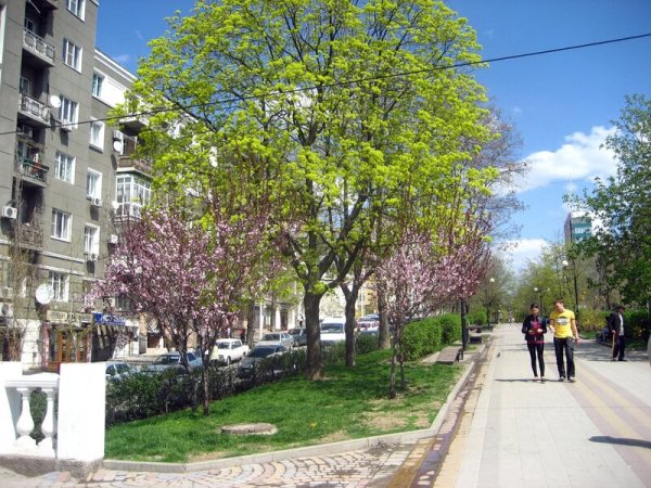 Парк Горького Ростов весной