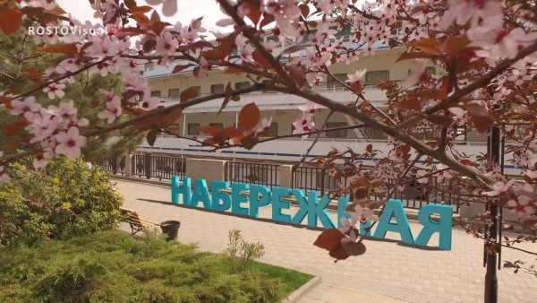 Ростов набережная Озеленение