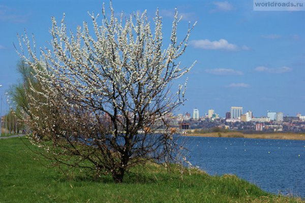 Ростов на Дону Дон природа