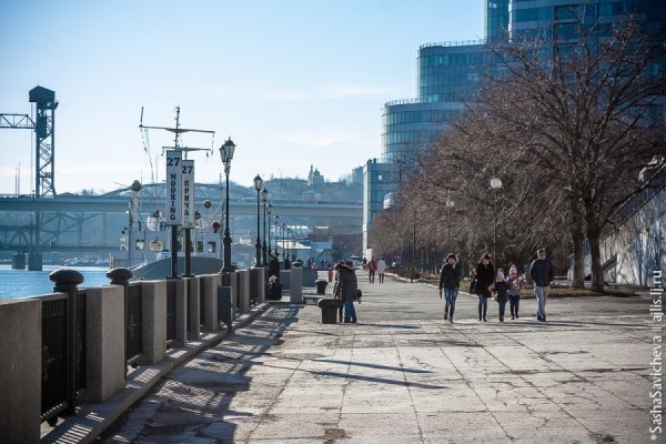 Цветение абрикоса Ростов на Дону