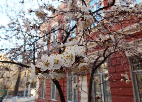 Река Дон левый берег